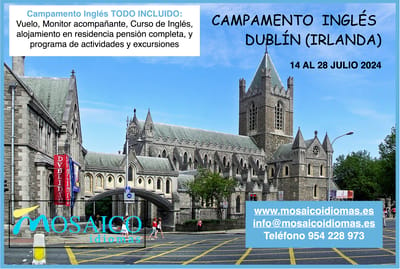 Actividad - Campamento de Inglés con Vuelo + Monitor en Dublín (Irlanda)