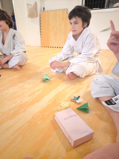 Actividad - Clases De karate Infantil