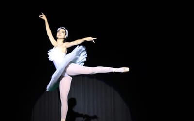 Actividad - Ballet clásico