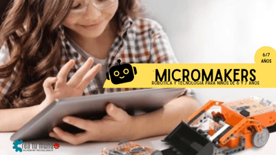 Activity - MicroMakers