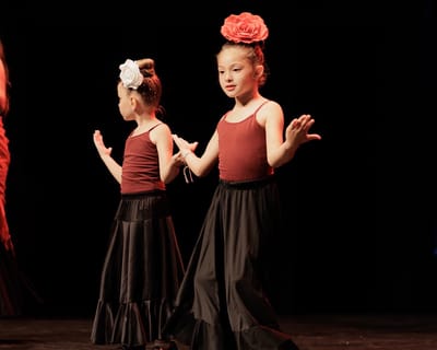 Activity - Flamenco