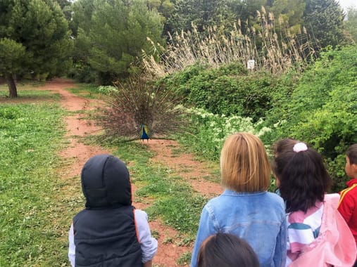 Campamento de verano multiaventura y naturaleza