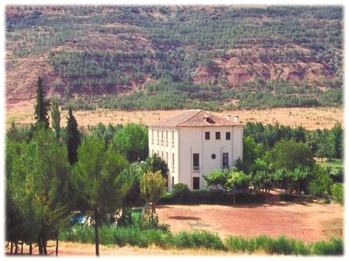 Campamento de verano multiaventura y naturaleza