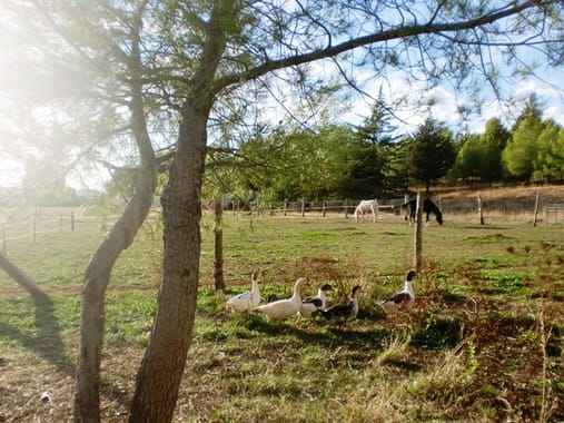 Campamento de verano multiaventura y naturaleza