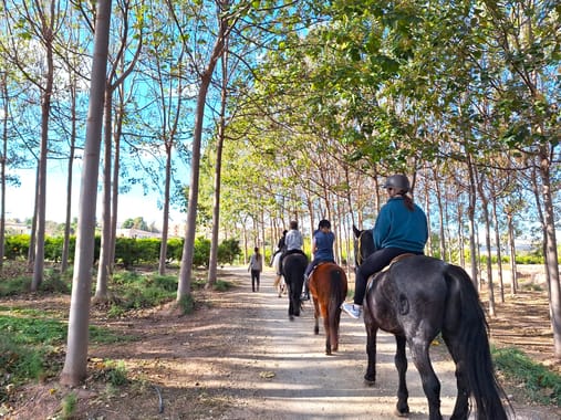 Centro Ecuestre L'Horta a Cavall, Bétera (Valencia)