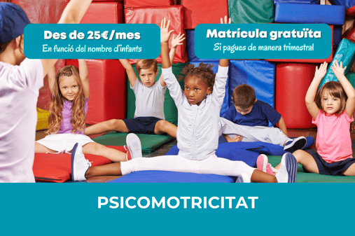 Psimocotricitat