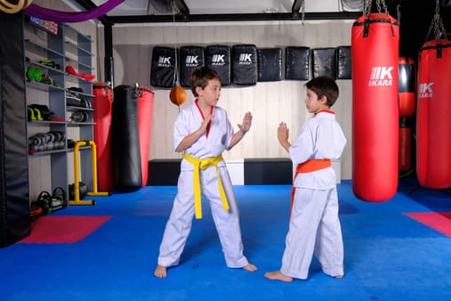 Artes marciales 10-13 años - LIONS (Aragó)