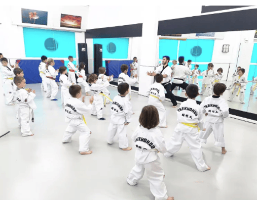 Taekwondo Kids (5-7 años)