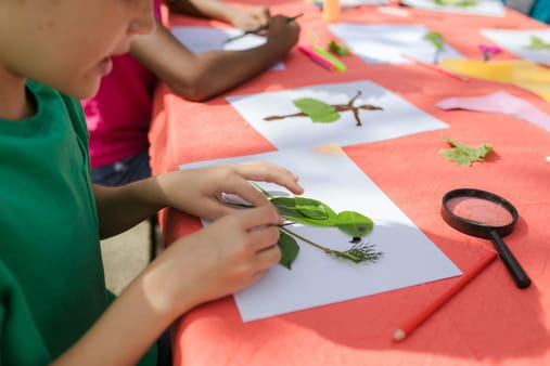 Campamento Creativo de Verano