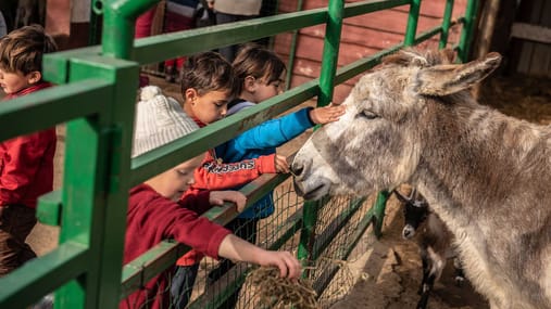 Campamento de verano en la naturaleza aprendiendo inglés