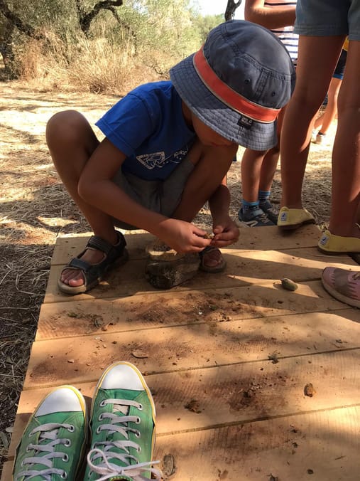 Campamento de verano en la naturaleza aprendiendo inglés