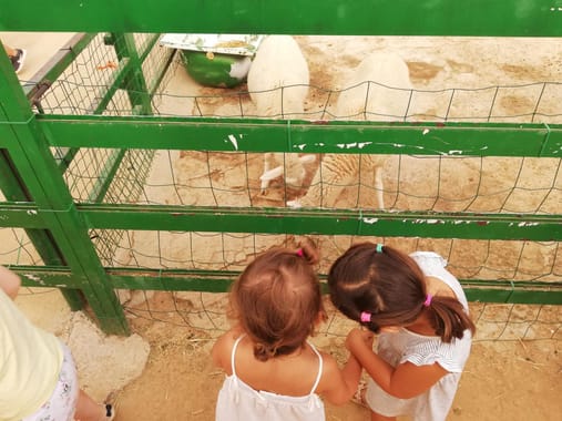 Campamento de verano en la naturaleza aprendiendo inglés